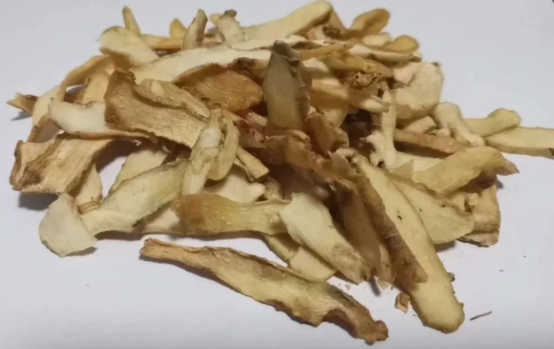 玉竹.jpg
